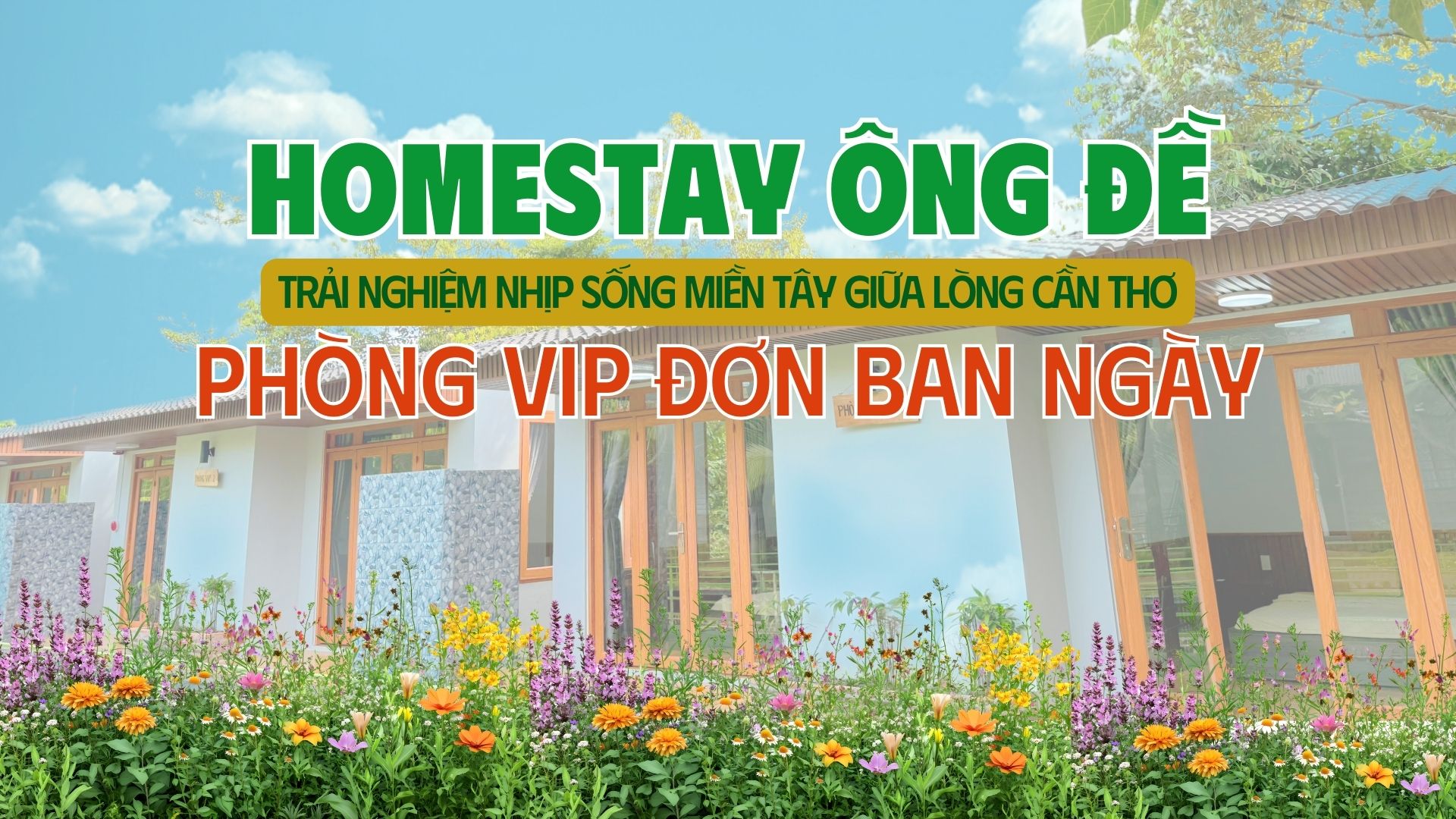 PHÒNG VIP ĐƠN BAN NGÀY